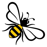 image of a bee